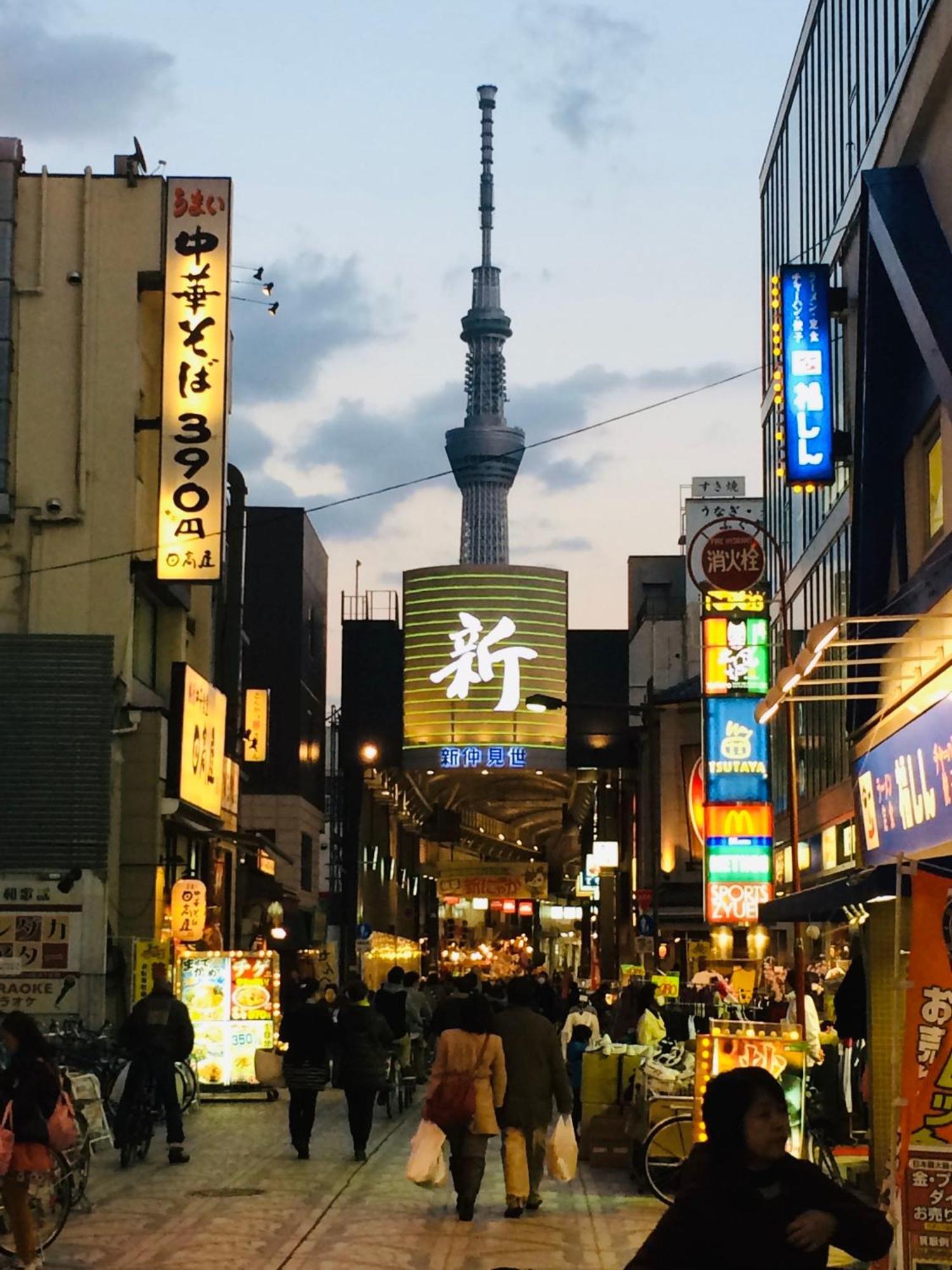 Апартаменты 浅草スカイツリービューテラス 浅草寺3分 浅草駅6分 2-10人 成田&羽田空港直通 Токио Экстерьер фото